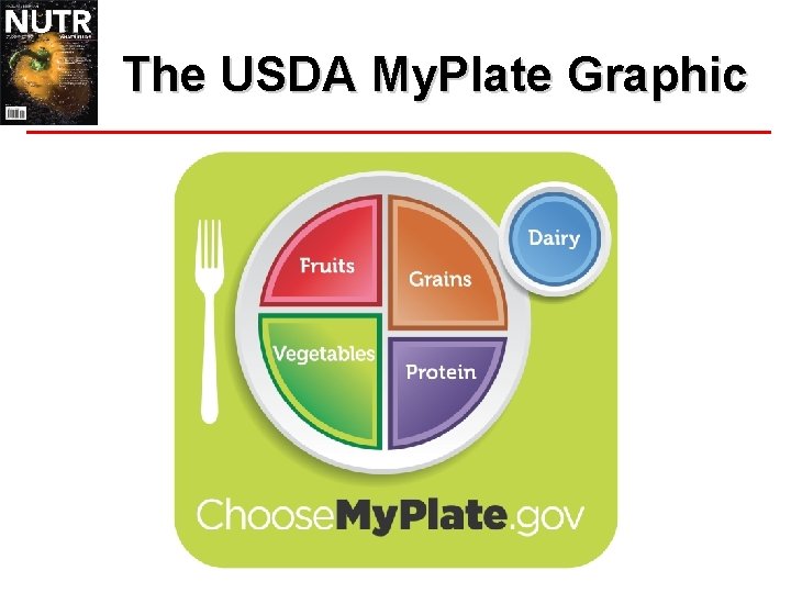 The USDA My. Plate Graphic 