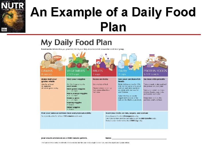 An Example of a Daily Food Plan 