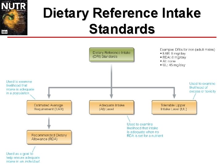 Dietary Reference Intake Standards 