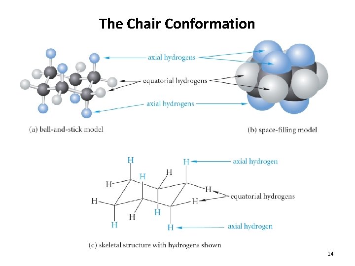 The Chair Conformation 14 