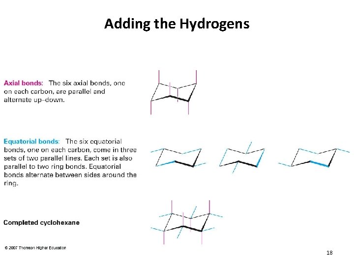 Adding the Hydrogens 18 