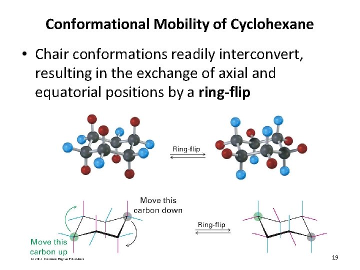 Conformational Mobility of Cyclohexane • Chair conformations readily interconvert, resulting in the exchange of