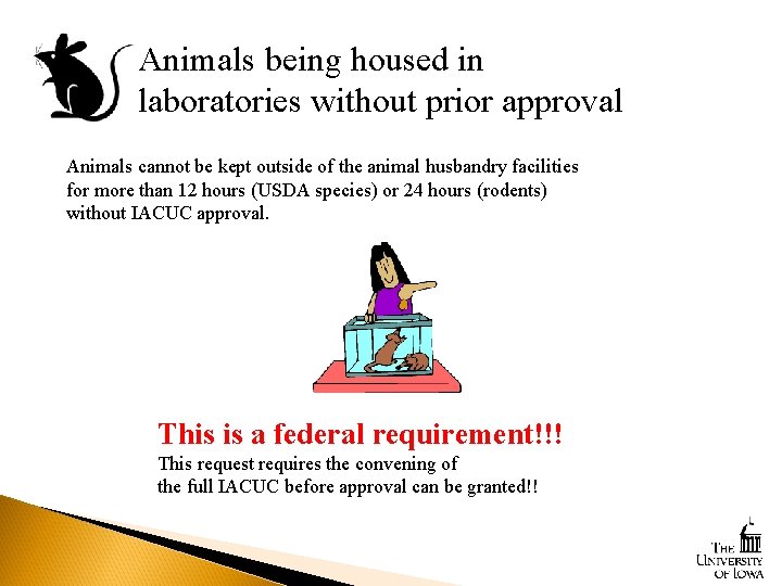Animals being housed in laboratories without prior approval Animals cannot be kept outside of