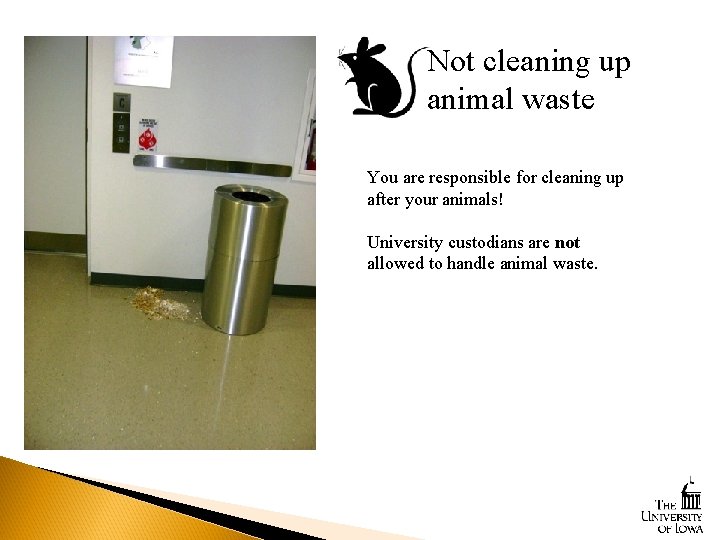 Not cleaning up animal waste You are responsible for cleaning up after your animals!