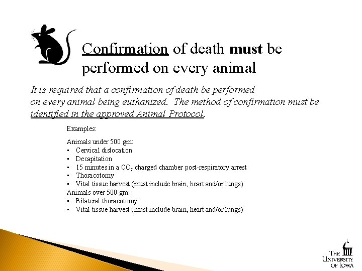 Confirmation of death must be performed on every animal It is required that a