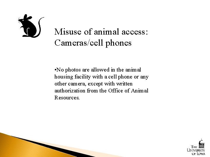 Misuse of animal access: Cameras/cell phones • No photos are allowed in the animal