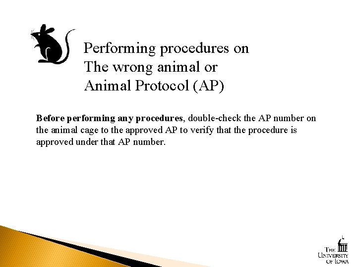 Performing procedures on The wrong animal or Animal Protocol (AP) Before performing any procedures,