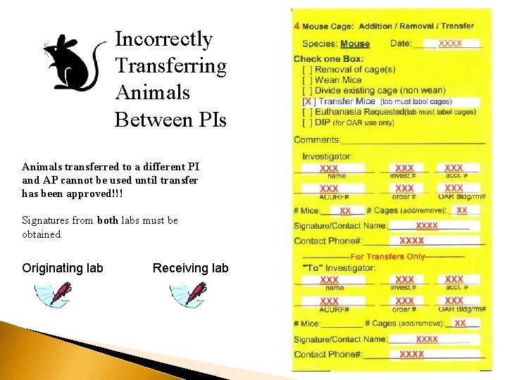 Incorrectly Transferring Animals Between PIs Animals transferred to a different PI and AP cannot