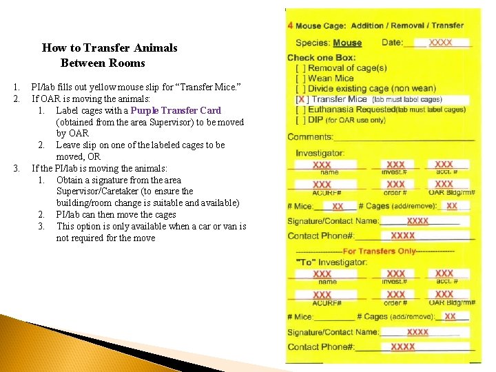 How to Transfer Animals Between Rooms 1. 2. 3. PI/lab fills out yellow mouse