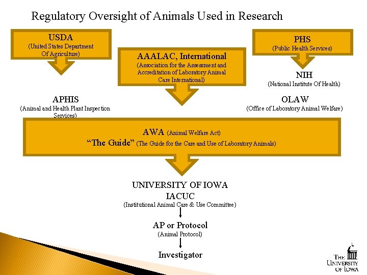 Regulatory Oversight of Animals Used in Research USDA (United States Department Of Agriculture) PHS