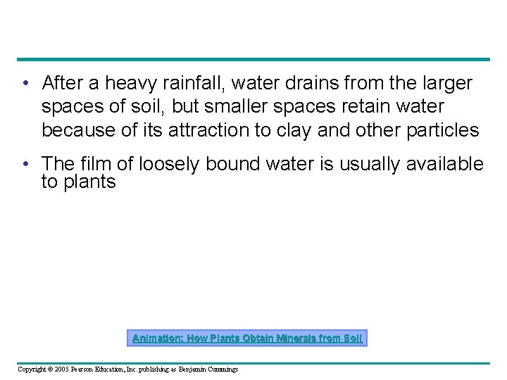  • After a heavy rainfall, water drains from the larger spaces of soil,