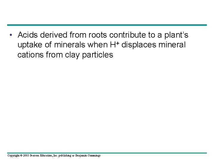 • Acids derived from roots contribute to a plant’s uptake of minerals when