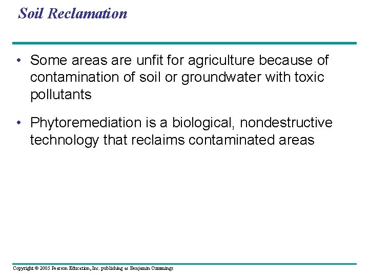 Soil Reclamation • Some areas are unfit for agriculture because of contamination of soil