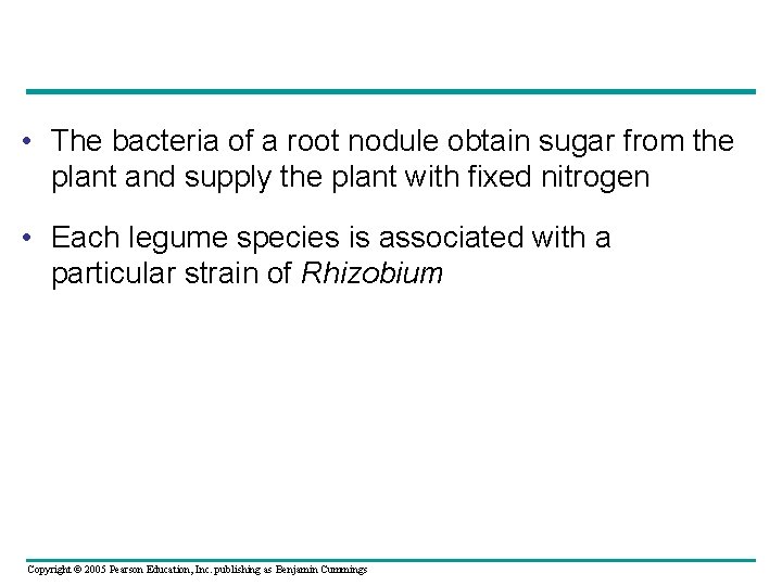  • The bacteria of a root nodule obtain sugar from the plant and