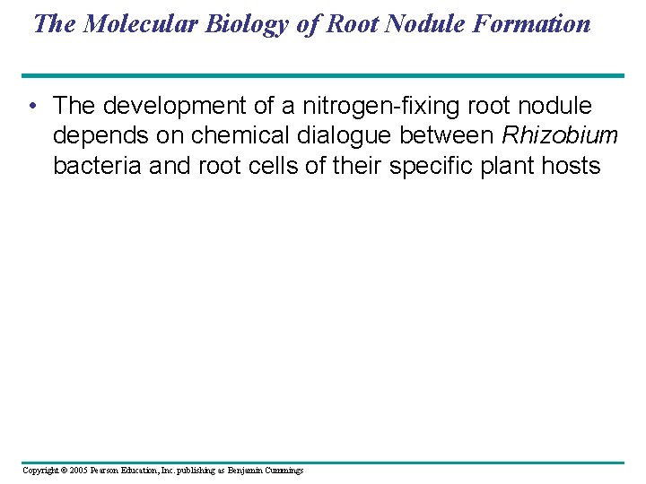 The Molecular Biology of Root Nodule Formation • The development of a nitrogen-fixing root