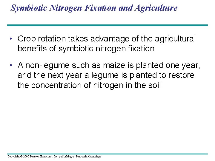 Symbiotic Nitrogen Fixation and Agriculture • Crop rotation takes advantage of the agricultural benefits