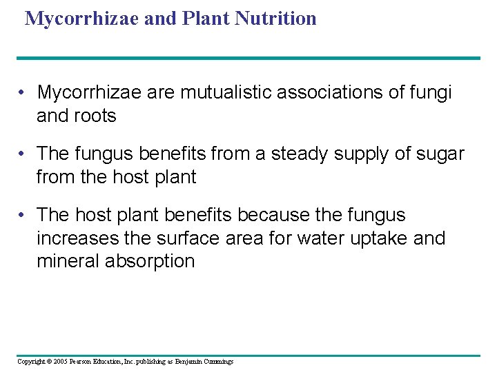 Mycorrhizae and Plant Nutrition • Mycorrhizae are mutualistic associations of fungi and roots •