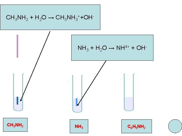 CH 3 NH 2 + H 2 O → CH 3 NH 3++OH- NH