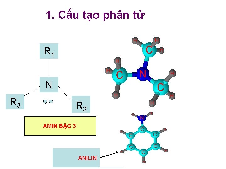 1. Cấu tạo phân tử R H 1 N R H 3 H 2