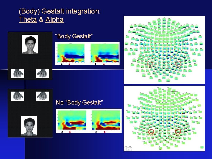 (Body) Gestalt integration: Theta & Alpha “Body Gestalt” No “Body Gestalt” 