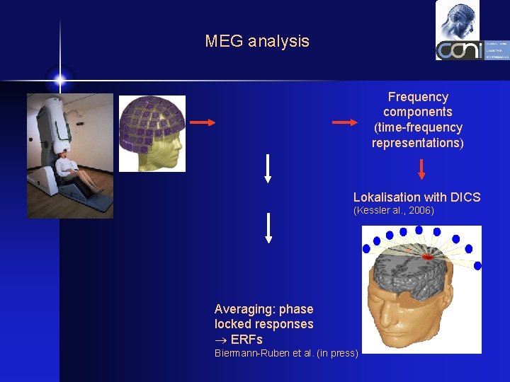 MEG analysis Frequency components (time-frequency representations) Lokalisation with DICS (Kessler al. , 2006) Averaging: