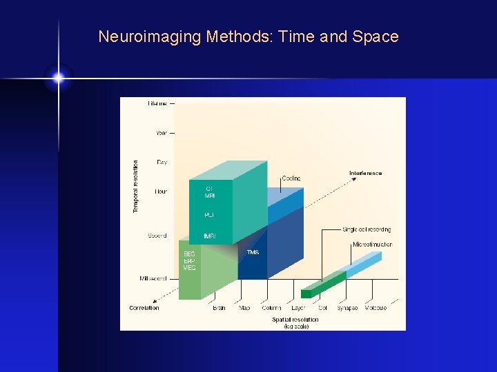 Neuroimaging Methods: Time and Space 