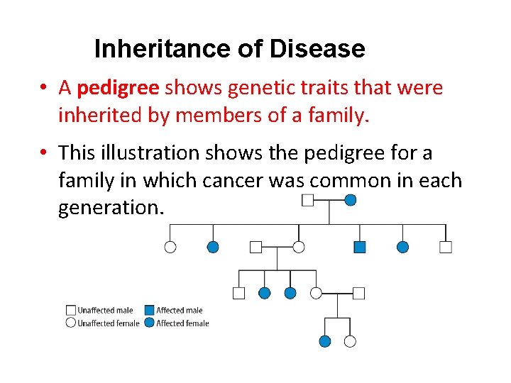 Inheritance of Disease • A pedigree shows genetic traits that were inherited by members