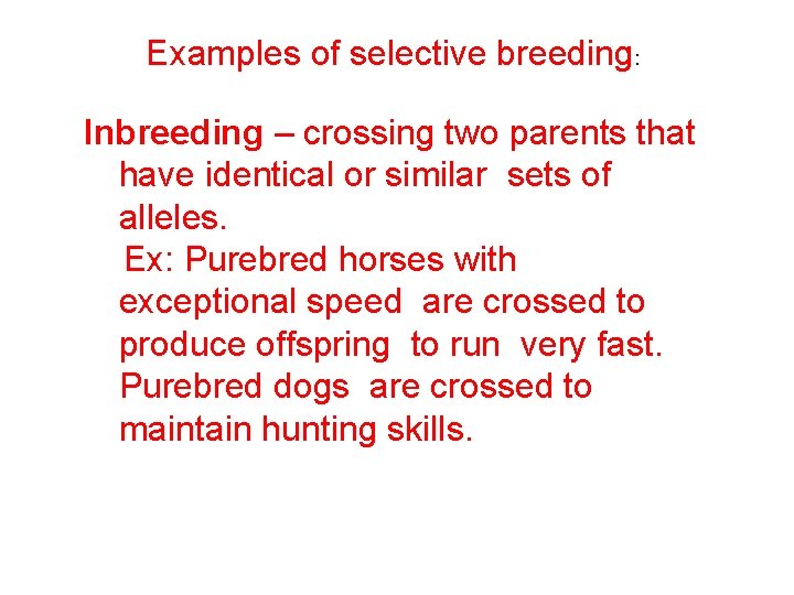 Examples of selective breeding: Inbreeding – crossing two parents that have identical or similar