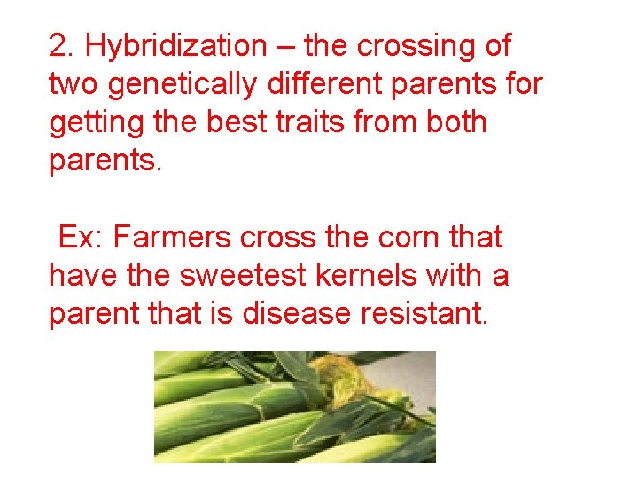 2. Hybridization – the crossing of two genetically different parents for getting the best