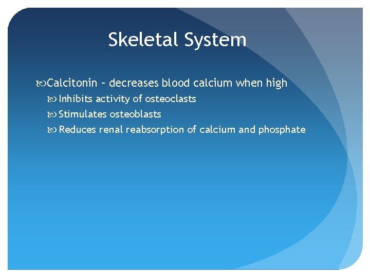 Skeletal System Calcitonin – decreases blood calcium when high Inhibits activity of osteoclasts Stimulates