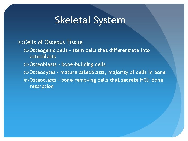 Skeletal System Cells of Osseous Tissue Osteogenic cells – stem cells that differentiate into