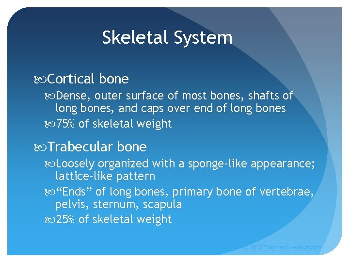 Skeletal System Cortical bone Dense, outer surface of most bones, shafts of long bones,