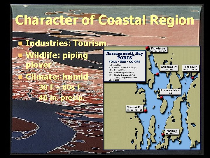 Character of Coastal Region Industries: Tourism n Wildlife: piping plover n Climate: humid n