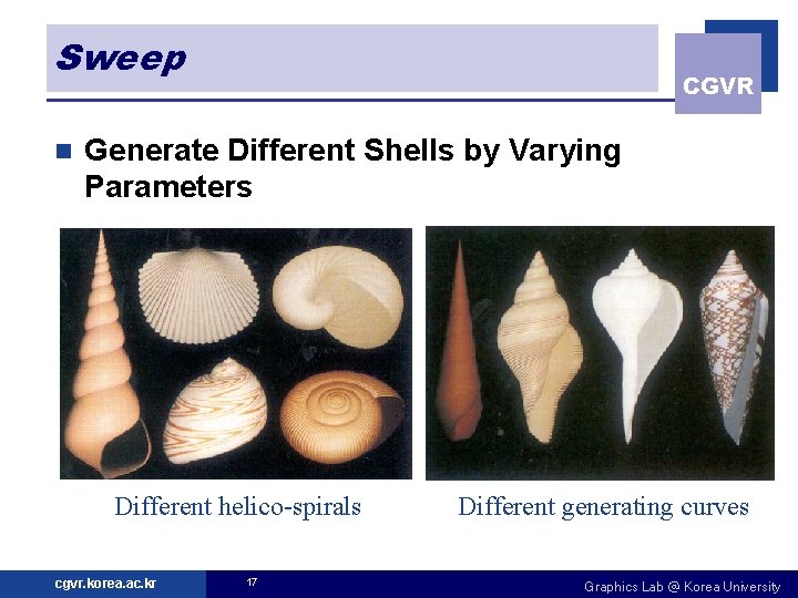 Sweep n CGVR Generate Different Shells by Varying Parameters Different helico-spirals cgvr. korea. ac.