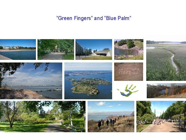 ”Green Fingers” and ”Blue Palm” 