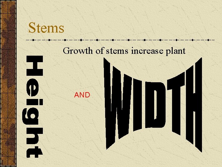 Stems Growth of stems increase plant AND 