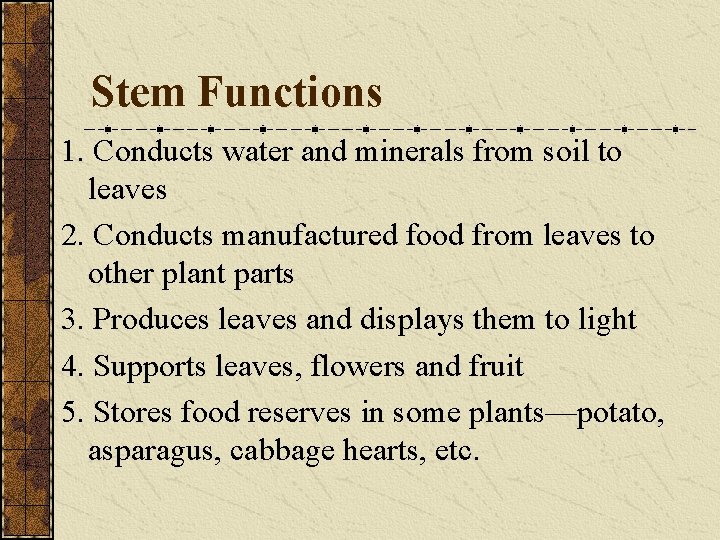 Stem Functions 1. Conducts water and minerals from soil to leaves 2. Conducts manufactured