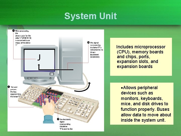 System Unit Includes microprocessor (CPU), memory boards and chips, ports, expansion slots, and expansion