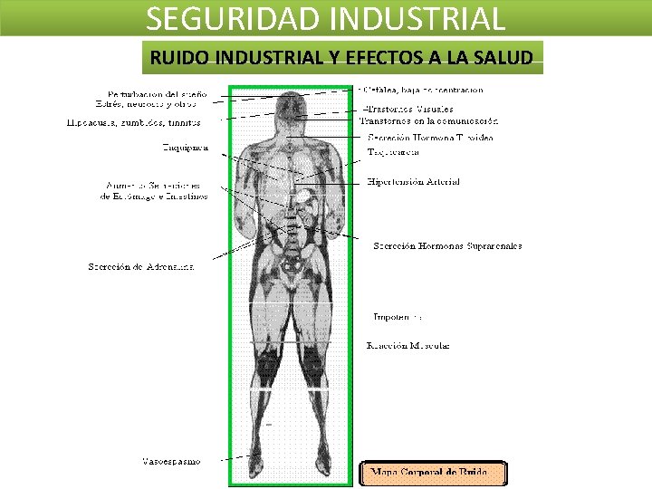 SEGURIDAD INDUSTRIAL RUIDO INDUSTRIAL Y EFECTOS A LA SALUD SEGURIDAD INDUSTRIAL RUIDO INDUSTRIAL Y EFECTOS A LA SALUD
