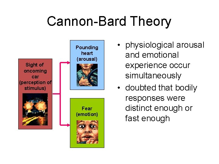 Cannon-Bard Theory Pounding heart (arousal) Sight of oncoming car (perception of stimulus) Fear (emotion) Cannon-Bard Theory Pounding heart (arousal) Sight of oncoming car (perception of stimulus) Fear (emotion)