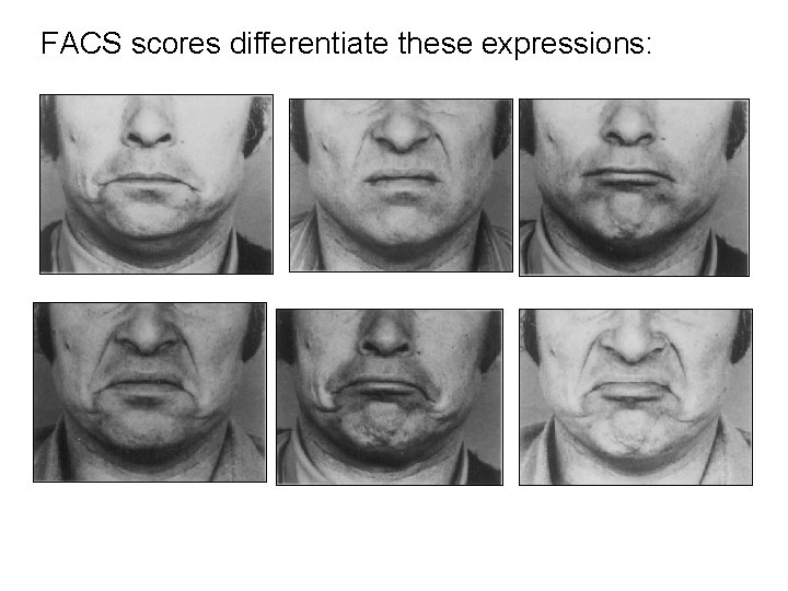 FACS scores differentiate these expressions: FACS scores differentiate these expressions: