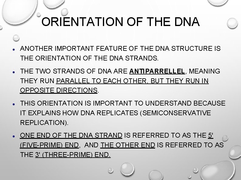 ORIENTATION OF THE DNA ANOTHER IMPORTANT FEATURE OF THE DNA STRUCTURE IS THE ORIENTATION