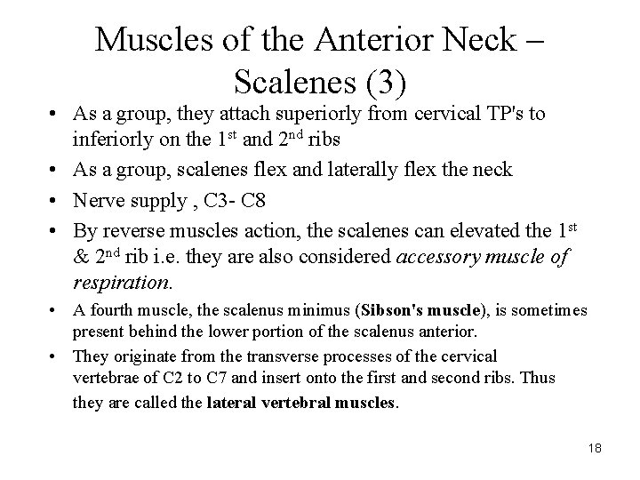 Muscles of the Anterior Neck – Scalenes (3) • As a group, they attach