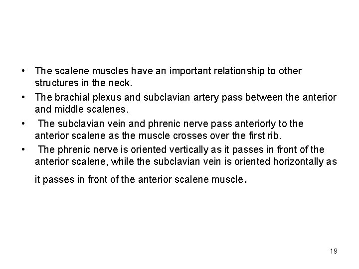  • The scalene muscles have an important relationship to other structures in the