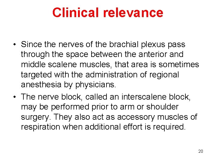 Clinical relevance • Since the nerves of the brachial plexus pass through the space