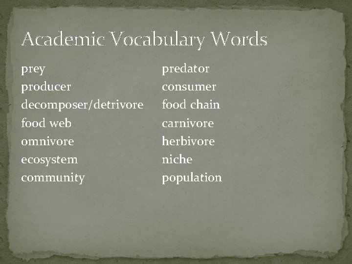Academic Vocabulary Words prey producer decomposer/detrivore food web omnivore ecosystem community predator consumer food Academic Vocabulary Words prey producer decomposer/detrivore food web omnivore ecosystem community predator consumer food