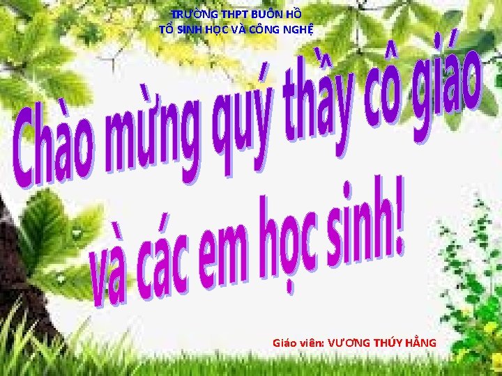 TRƯỜNG THPT BUÔN HỒ TỔ SINH HỌC VÀ CÔNG NGHỆ Giáo viên: VƯƠNG THÚY