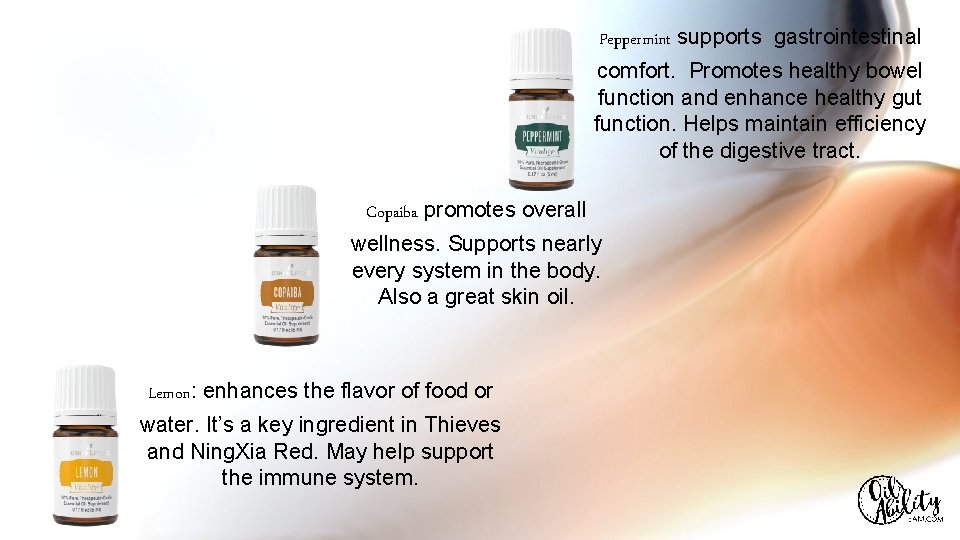 Peppermint supports gastrointestinal comfort. Promotes healthy bowel function and enhance healthy gut function. Helps
