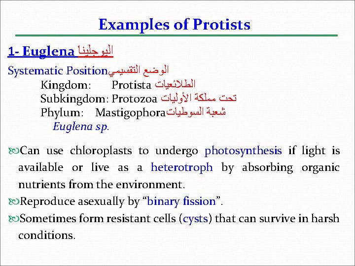 Examples of Protists 1 - Euglena ﺍﻟﻴﻮﺟﻠﻴﻨﺎ Systematic Position ﺍﻟﻮﺿﻊ ﺍﻟﺘﻘﺴﻴﻤﻲ Kingdom: Protista ﺍﻟﻄﻼﺋﻌﻴﺎﺕ