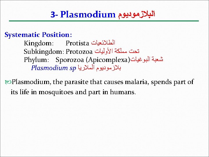 3 - Plasmodium ﺍﻟﺒﻼﺯﻣﻮﺩﻳﻮﻡ Systematic Position: Kingdom: Protista ﺍﻟﻄﻼﺋﻌﻴﺎﺕ Subkingdom: Protozoa ﺗﺤﺖ ﻣﻤﻠﻜﺔ ﺍﻷﻮﻟﻴﺎﺕ